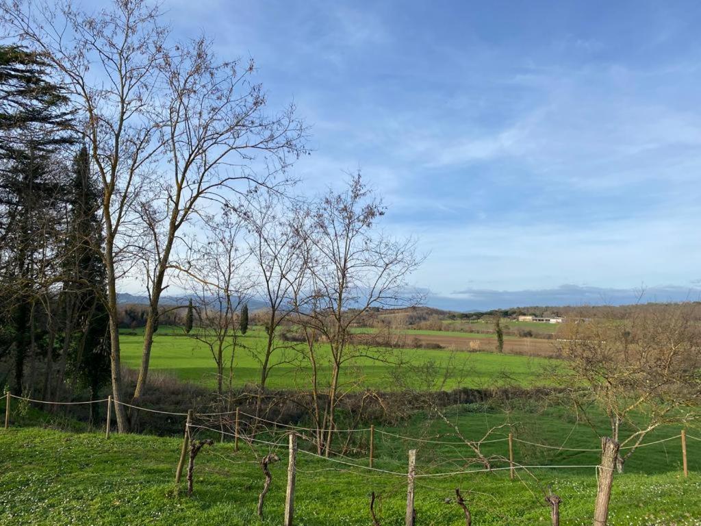 Il Casale Delle Rose Aparthotel Paganico  Kültér fotó